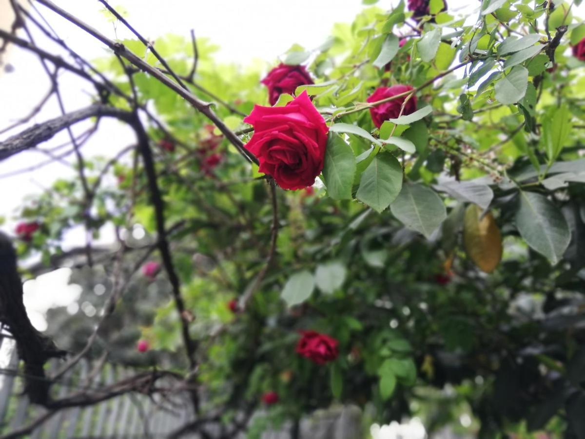 Villamelchiorre 1 Μιλάνο Εξωτερικό φωτογραφία